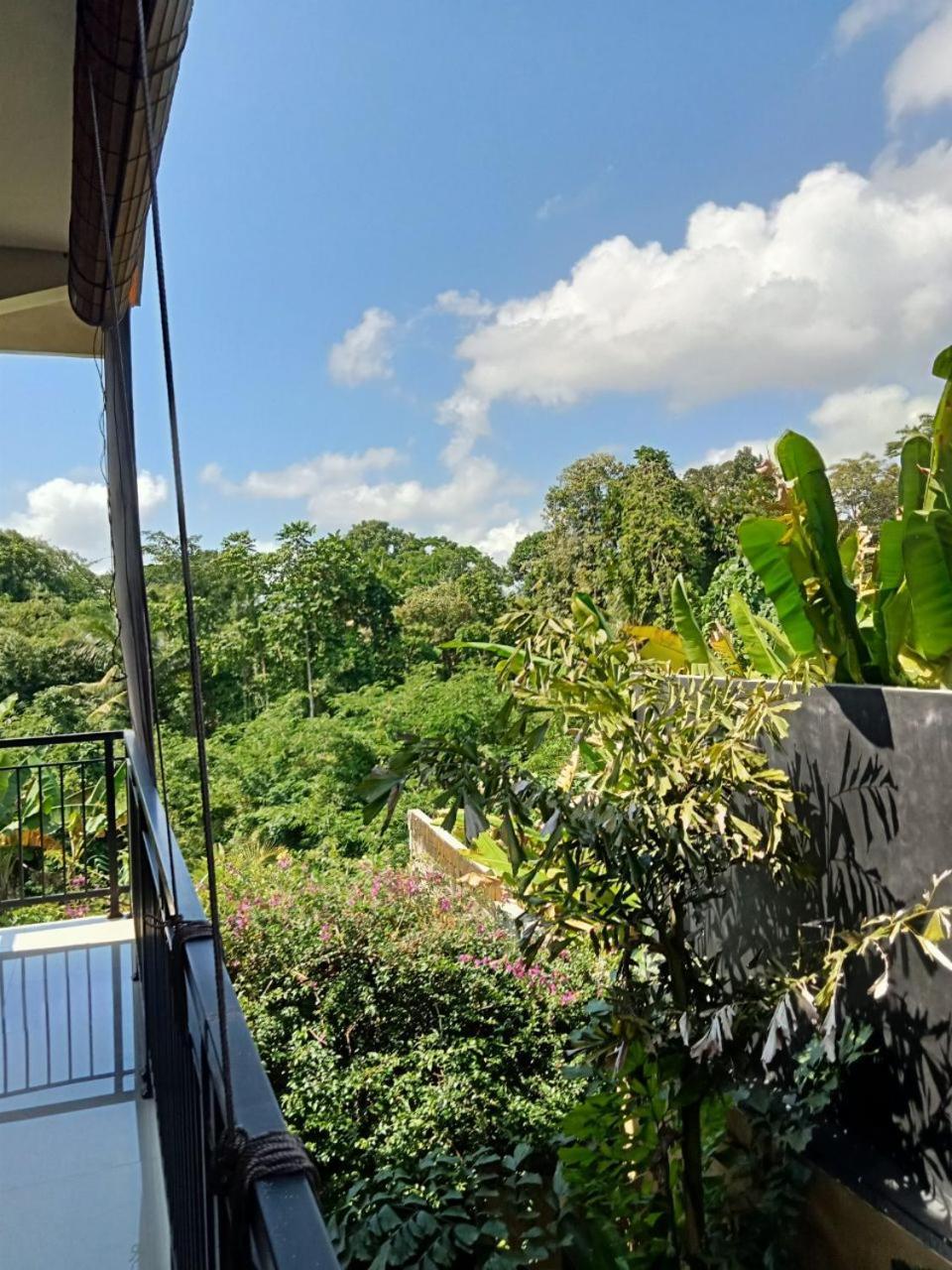 Lavista Guesthouse ウブド エクステリア 写真